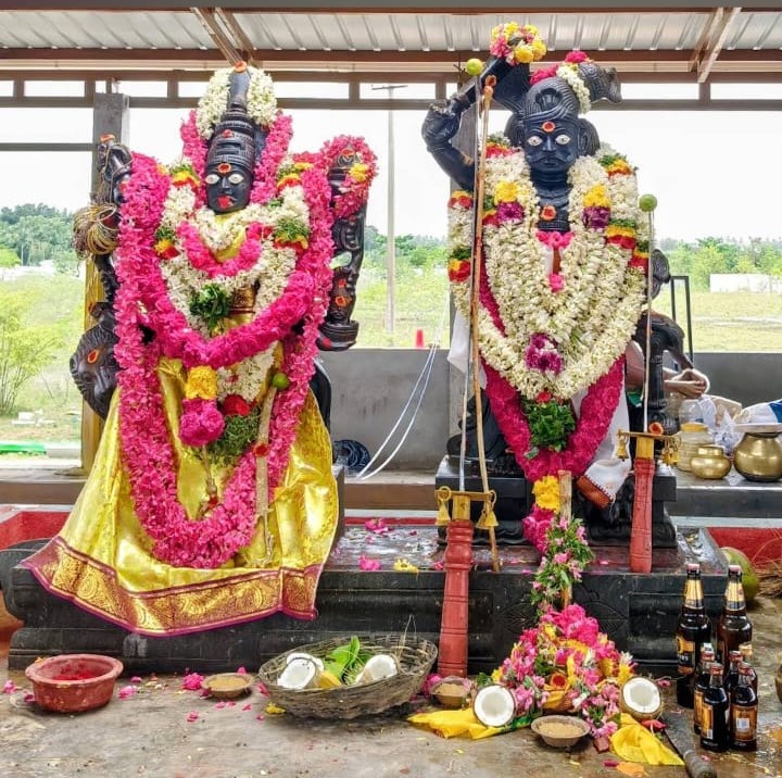 Temple Deity Darshan